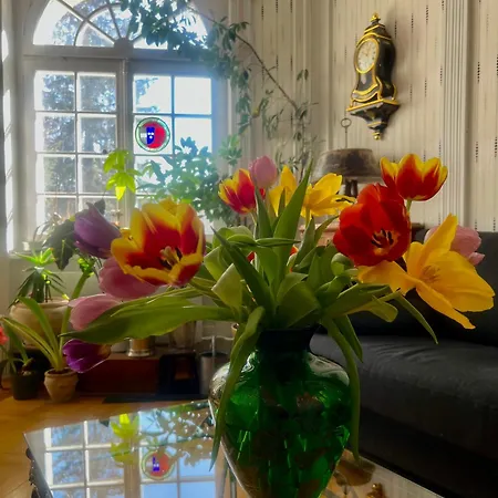 Bed & Breakfast Wildrose Bern