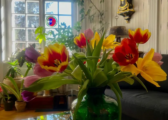 Bed & Breakfast Wildrose Bern