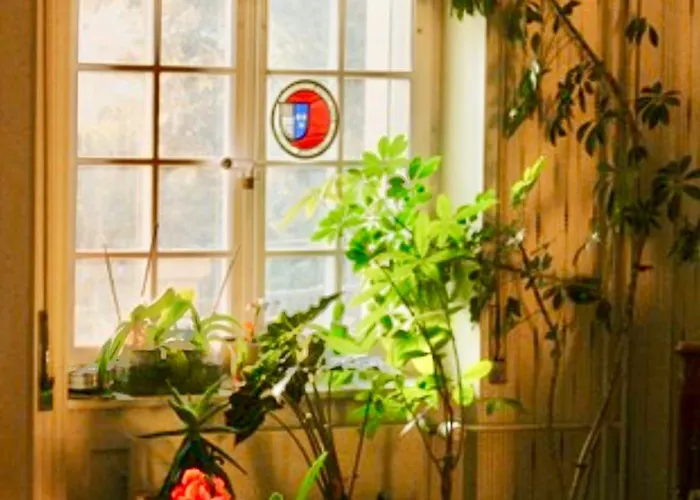 Bed and Breakfast Wildrose Βέρνη