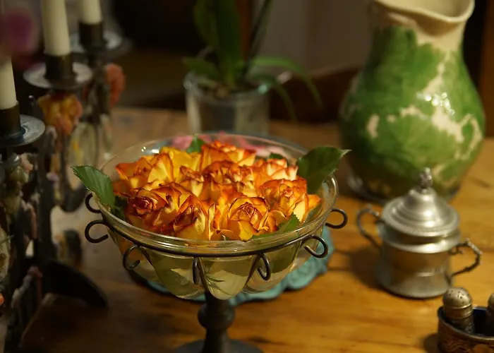 Wildrose 4* Βέρνη