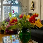 Bed & Breakfast Wildrose Bern