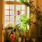Bed & Breakfast Wildrose Bern
